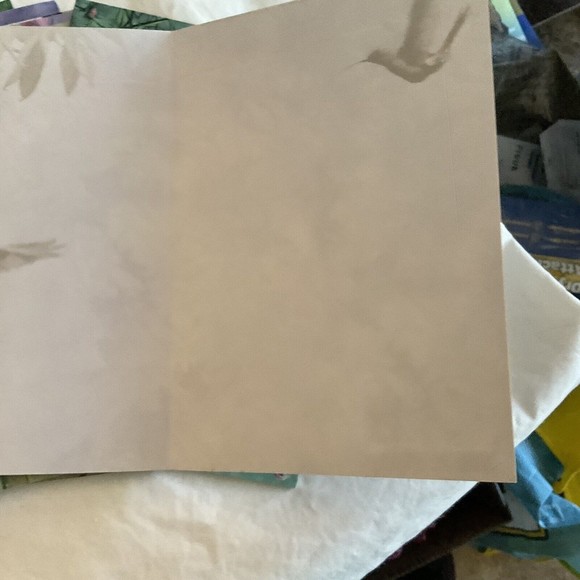 12  Blank Notecards 11 Designs Bird Beauties NO ENVELOPES  crafters,junk Journal - Picture 4 of 6